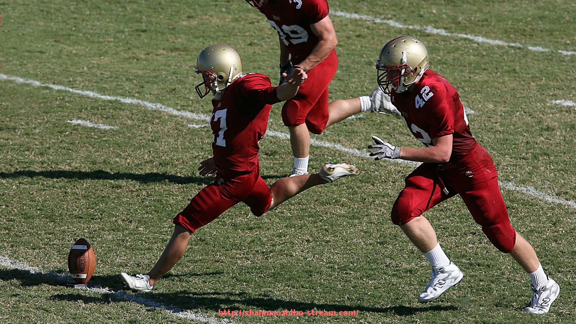 山猫直播官网-法甲里昂球迷文化建设与相关活动情况