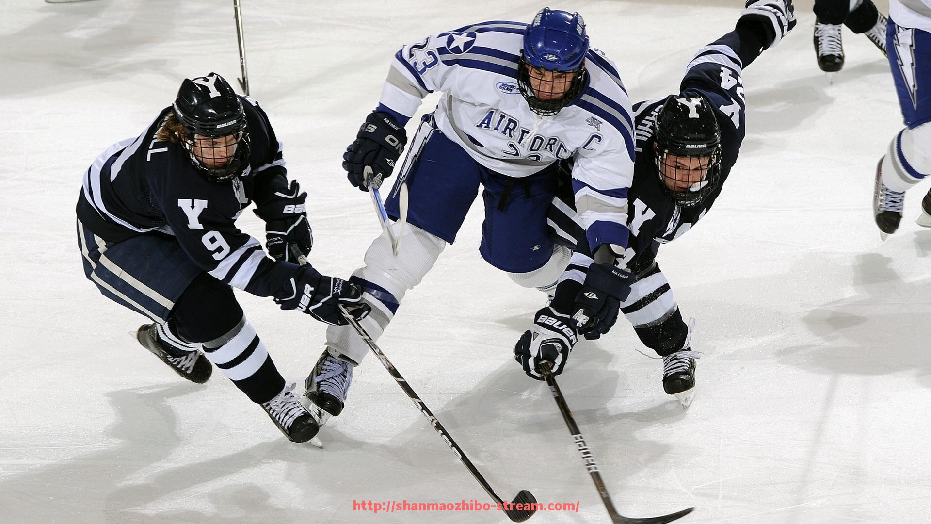 山猫直播官网-简易健身器材入门指南及高效训练方法